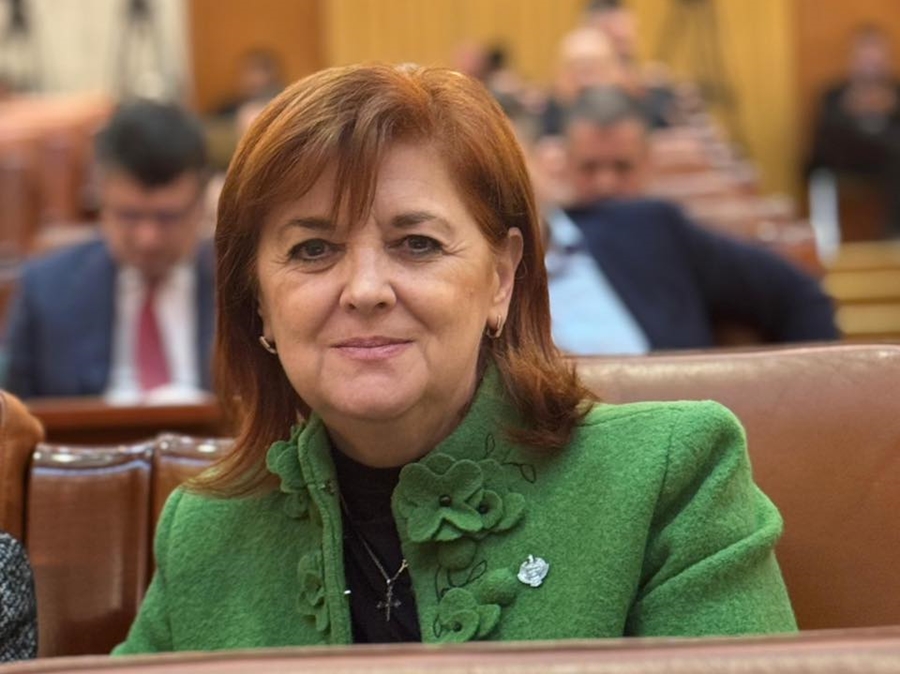 Deputatul Doinița Ciocan: “Veste bună pentru mediul de afaceri și pentru admnistrațiile locale!”