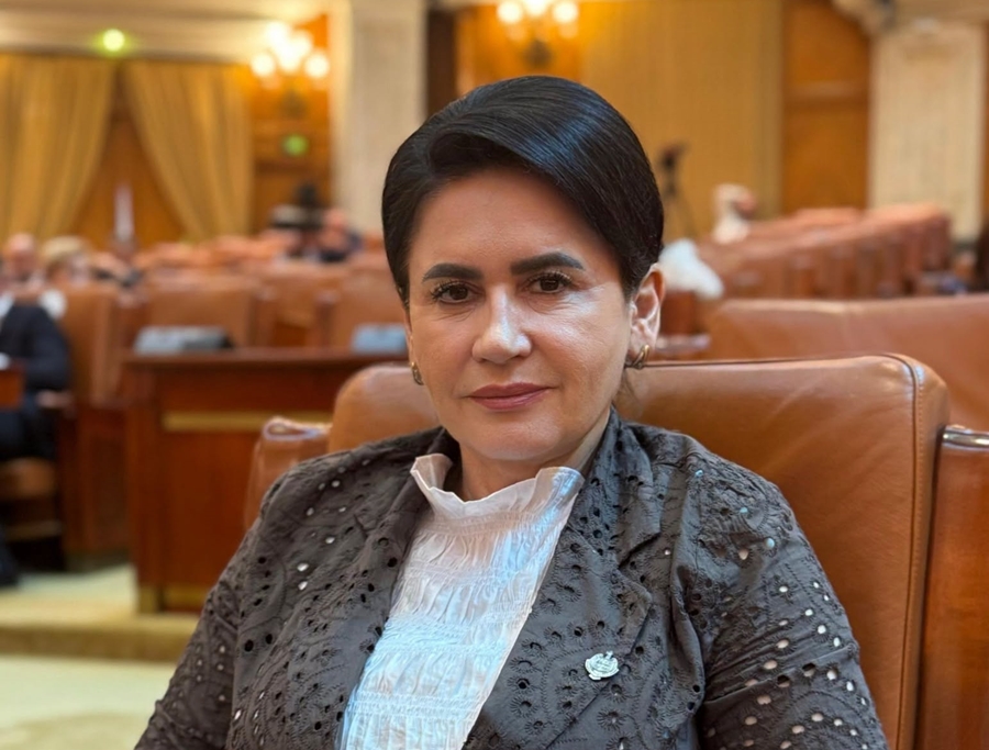 Deputatul Viorica Sandu: “PSD nu votează «pe încredere» Legea salarizării!”