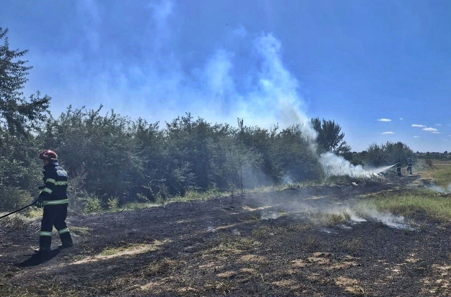 Pompierii brăileni, 24 de ore în misiune: incendii de vegetație, accidente rutiere și 13 intervenții SMURD