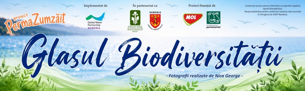 “PermaZumzăit” și “Glasul Biodiversității”: natură, polenizatori și glasurile păsărilor transformate în imagini, într-un proiect inedit la Galați