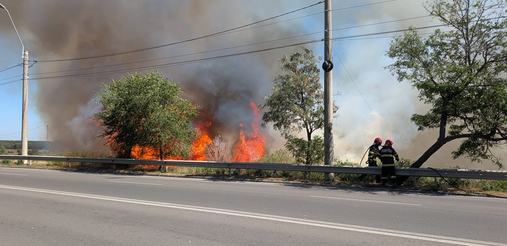 Incendiu de vegetație la ieșire din Municipiul Brăila. Pompierii au intervenit cu 4 ASAS și o autocisternă