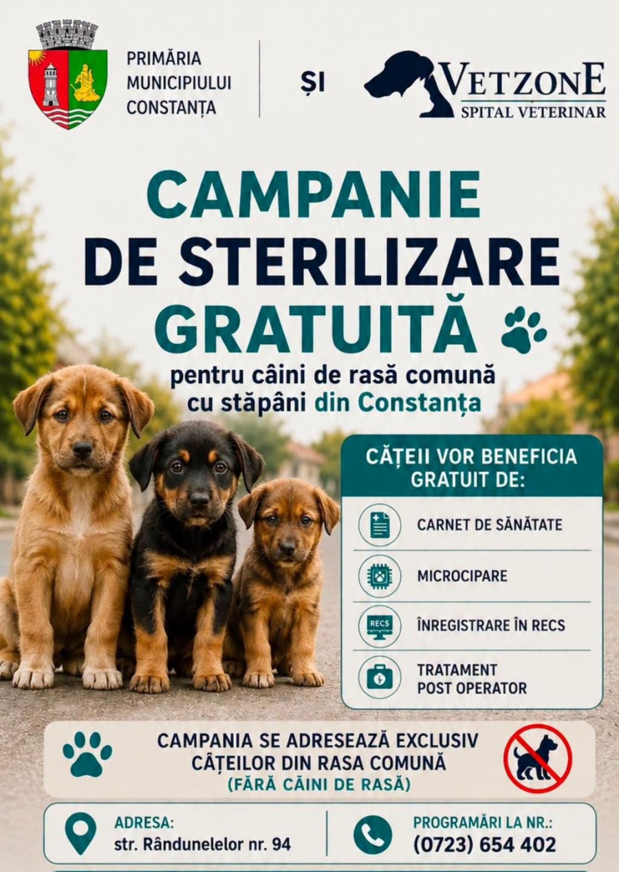 Campania gratuită de sterilizare a câinilor de rasă comună cu stăpân, din municipiul Constanța, continuă!