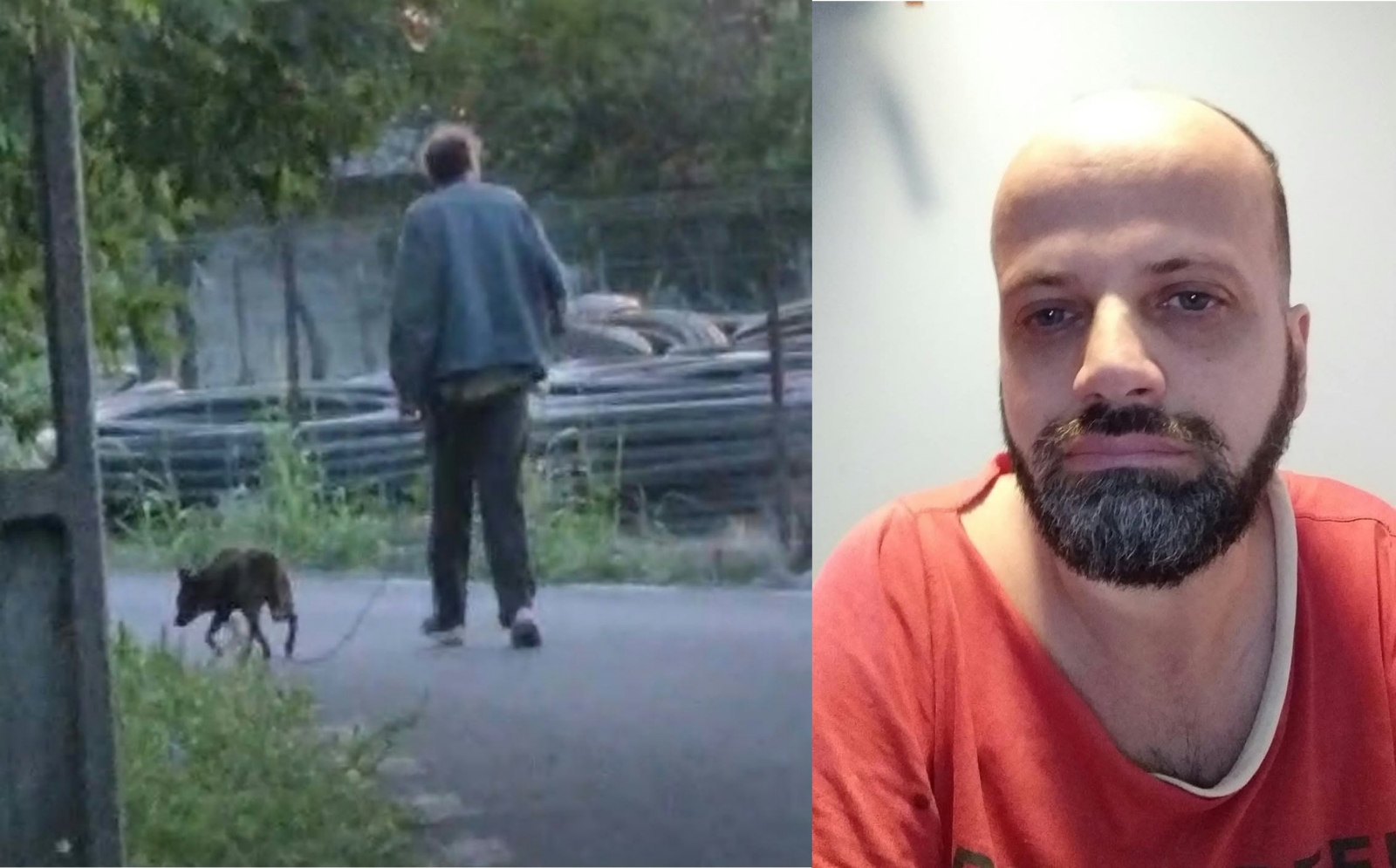 UPDATE: Bărbatul din comuna Galbenu, dat dispărut, a fost găsit de poliţişti cu ajutorul unui câine de urmă